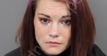 COOK, BRITTNEY MICHELLE | 2020-10-20 23:23:00 Anderson County, South Carolina Booking
