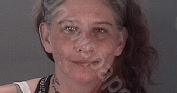 <B>JOSEFOWITZ</B>, <B>MICHELLE</B> <B>DEANNE</B> #, Pasco County, Florida - 2020-10-20 00:12:00