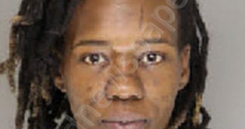 WINSTON, JAMIELLE SHENIKA | 2020-10-20 11:19:00 Moore County, North Carolina Booking