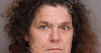 RICHARDSON, DONNA LYNN | 2020-10-21 17:22:00 Florence County, South Carolina Booking