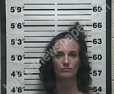 <B>BRANDY</B> <B>WISEMAN</B> #, Weakley County, Tennessee - 2020-10-24 10:30:00