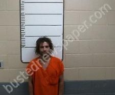 BRANDON ELLISON | 2020-10-24 16:11:00 Morgan County, Tennessee Booking