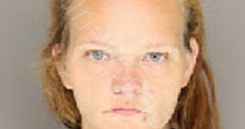 HEDRICK-GARNER, ASHLEY ELAIN | 2020-10-25 19:11:00 Moore County, North Carolina Booking