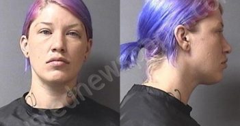 MCKINNON, MICHELLE LINN | 2020-10-25 00:58:00 Madison County, Indiana Booking