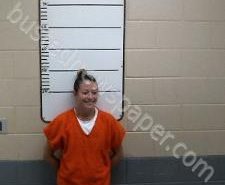 ALLISON PATTERSON | 2020-10-27 15:14:00 Morgan County, Tennessee Booking