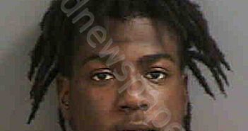 PIERRE,MILTCH DECHILDER | 2020-10-28 Collier County, Florida Booking