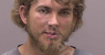 DELVIN, LOGAN BLAKE | 2020-10-29 00:50:00 Alamance County, North Carolina Booking