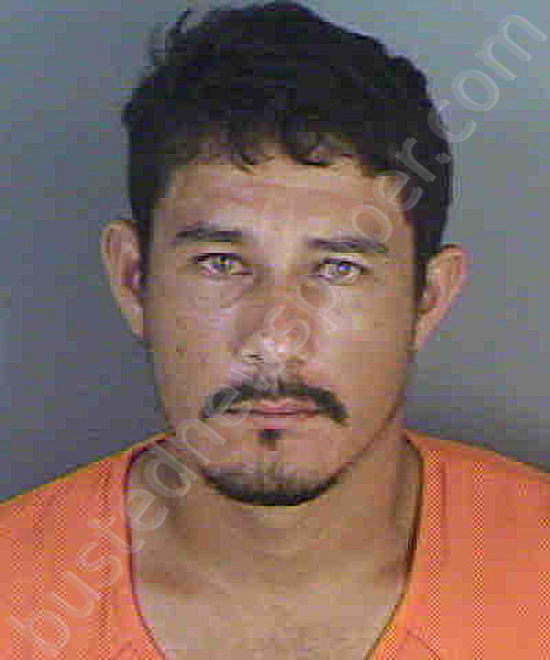 MARTINEZ,ORLIN #, Collier County, Florida - 2020-10-30