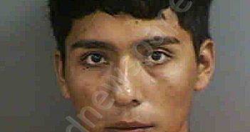 ROSALESTURCIOS,WILFREDO | 2020-10-30 Collier County, Florida Booking