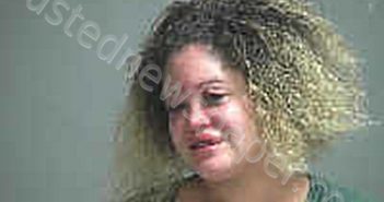 BROWN EMILY M | 2020-10-31 Sandusky County, Ohio Booking