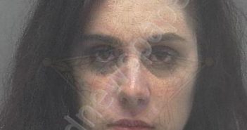 POPOLIZIO, ANDREA LYNN | 2020-10-31 08:43:00 Lee County, Florida Booking