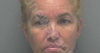 CAMPO, DAMARIS YADIRA | 2020-10-31 04:05:00 Lee County, Florida Booking