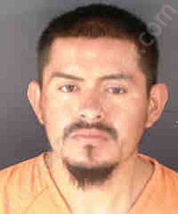 GREGORIO SALGADO, JESUS SALGADO,JESUS | 2020-11-01 Sarasota County, Florida Booking