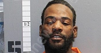 LEE, GERARD LAMONTESE | 2020-11-02 11:30:00 Western Tidewater, Virginia Booking