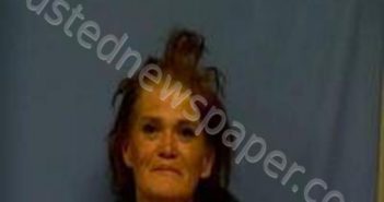 TAMARA STONE | 2020-11-03 02:45:00 Saline County, Arkansas Booking