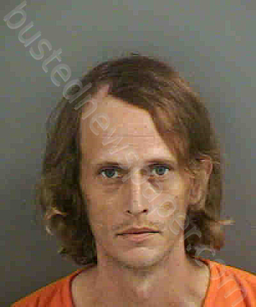 DILLINGER,MATTHEW FRANCIS #, Collier County, Florida - 2020-11-03