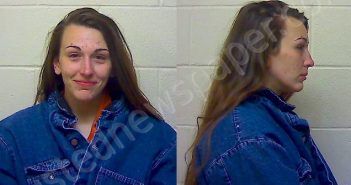 <B>LYONS</B> KELLY <B>THERESA</B> #, Craven County, North Carolina - 2020-11-03 19:05:23