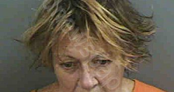 ROBERTS,TINA J | 2020-11-04 Collier County, Florida Booking