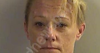 HODSON, ALICIA LORRAINE | 2020-11-04 23:40:00 Dickinson County, Kansas Booking