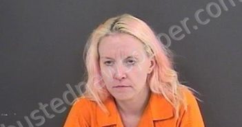 PERDUE, APRIL MICHELLE | 2020-11-05 23:14:00 Roanoke County, Virginia Booking