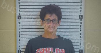 MATTINGLY, SANDRA K | 2020-11-06 21:03:00 Taylor County, Kentucky Booking