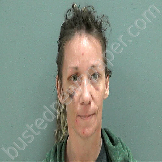 JOHNSON, KIMBERLY MARIE #, Darlington County, South Carolina - 2020-11-06 09:55:00