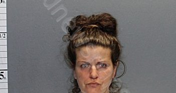 BRENNAN, KERRY MARIE | 2020-11-06 19:15:00 Western Tidewater, Virginia Booking