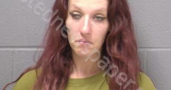 MARTIN, MARY C | 2020-11-06 06:43:00 Will County, Illinois Booking