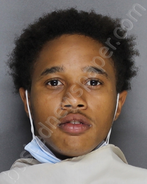 PEREZ, CAMERYON LYNELL #, Ellis County, Texas - 2020-11-06
