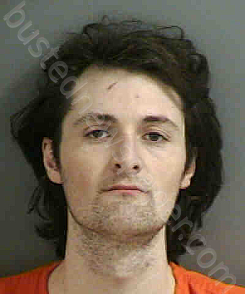 MORRIS,JOSHUA #, Collier County, Florida - 2020-11-06