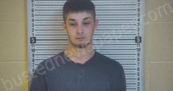 COX, RYEN | 2020-11-07 23:44:00 Taylor County, Kentucky Booking