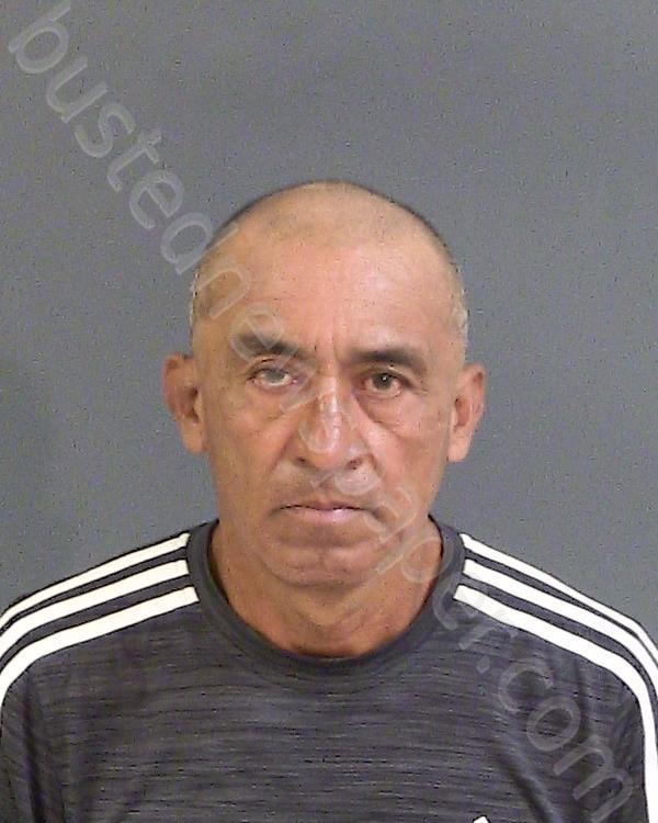 GOMEZ-PEREZ, DAGOBERTO #, Charleston County, South Carolina - 2020-11-07 21:48:00