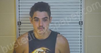 SANCHEZ, JUSTIN | 2020-11-07 15:33:00 Taylor County, Kentucky Booking