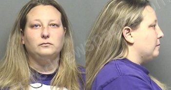WANGERIN,JENNIFER MICHELLE | 2020-11-07 15:55:00 Saline County, Kansas Booking