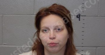 GUTIERREZ-MENIJIVAR, LATISHA SHIANN | 2020-11-07 09:58:00 Mcdonald County, Missouri Booking