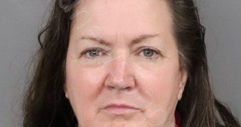 <B>BROWN</B>, <B>TERESA</B> <B>KAY</B> #, Anderson County, South Carolina - 2020-11-08 20:01:00