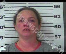 JENNIFER DEDMON | 2020-11-09 21:02:00 Gibson County, Tennessee Booking