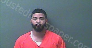 <B>LORENZO</B>, <B>LORENST</B> #, Laporte County, Indiana, La Porte County, Indiana - 2020-11-09 11:41:00
