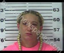 BRANDIE MANESS | 2020-11-09 00:39:00 Gibson County, Tennessee Booking