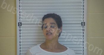 BREEZE, MICHELLE | 2020-11-09 23:22:00 Taylor County, Kentucky Booking