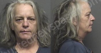 CONSTABLE,MICHELLE LEE | 2020-11-10 12:42:00 Saline County, Kansas Booking