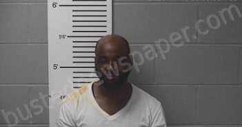 WILLIAMS, ALLEN L | 2020-11-10 05:19:00 Lincoln County, Missouri Booking