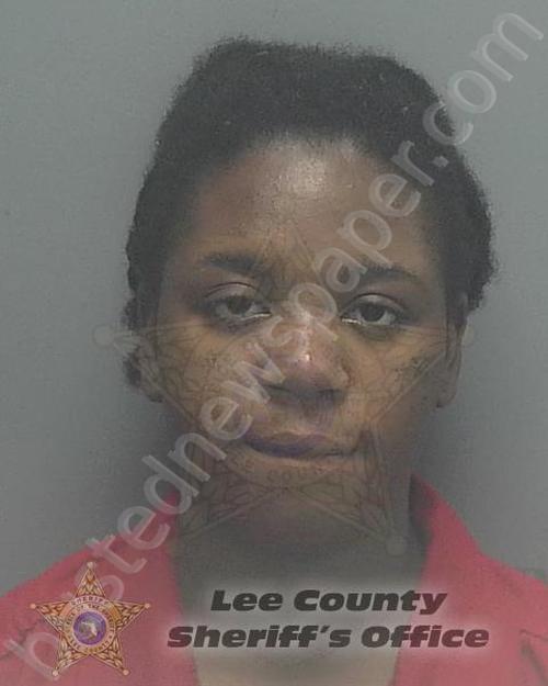 CASTOR, BRITNEY #, Lee County, Florida - 2020-11-10 00:41:00