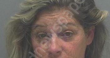 <B>DIROSARIO</B>, <B>RYON</B> <B>ELAINE</B> #, Lee County, Florida - 2020-11-10 03:13:00