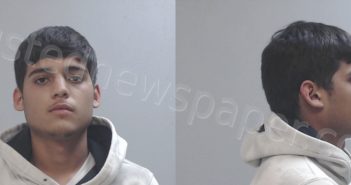 <B>RODRIGUEZ</B>, JOSE <B>ANGEL</B> #, Hidalgo County, Texas - 2020-11-10