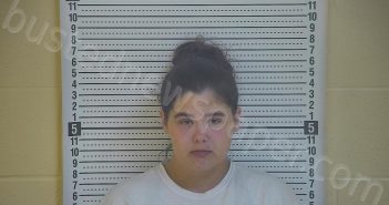 MANN, DANA M | 2020-11-10 20:45:00 Taylor County, Kentucky Booking