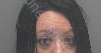 <B>POLLY</B>, <B>TARA</B> <B>LEE</B> #, <b>Lee</b> County, Florida, Lee County, Florida - 2020-11-10 00:26:00