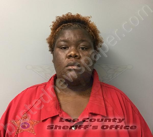 ADDISON, KATONYA ONIEKA #, Lee County, Florida - 2020-11-10 02:06:00