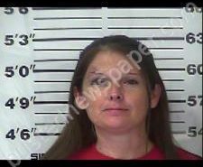 KRISTEN ALFORD | 2020-11-10 20:14:00 Gibson County, Tennessee Booking