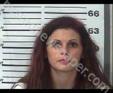 BLAIRE BLANKENSHIP | 2020-11-10 14:20:00 Gibson County, Tennessee Booking